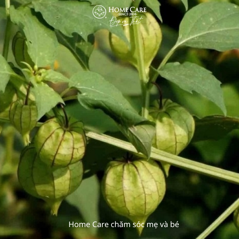 la-tam-bop-tam-cho-tre-so-sinh